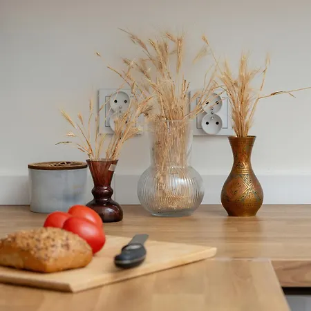 Appartement Nowoczesne Studia Blisko Centrum Gdanska By Rent Like