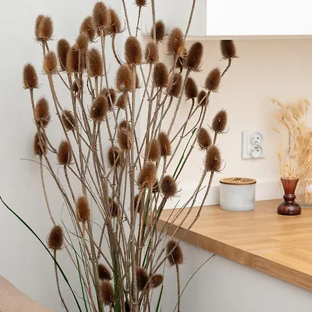 Nowoczesne Studia Blisko Centrum Gdanska By Rent Like Appartement *