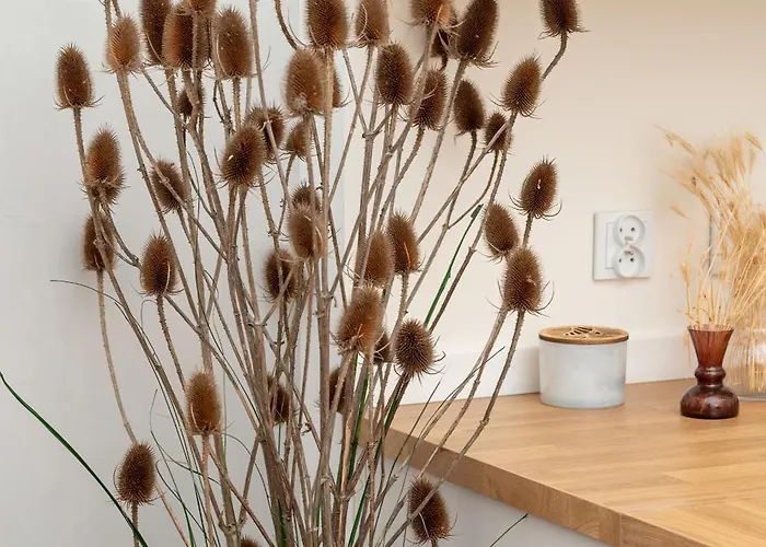 Nowoczesne Studia Blisko Centrum Gdanska By Rent Like شقة *